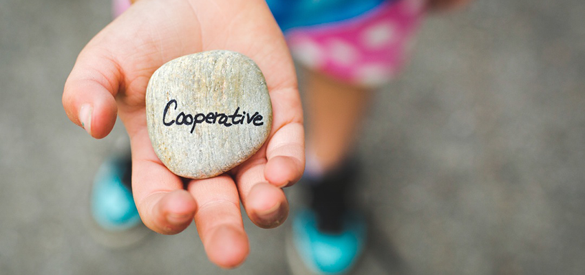 Child holding rock with word "Coopertive" on it